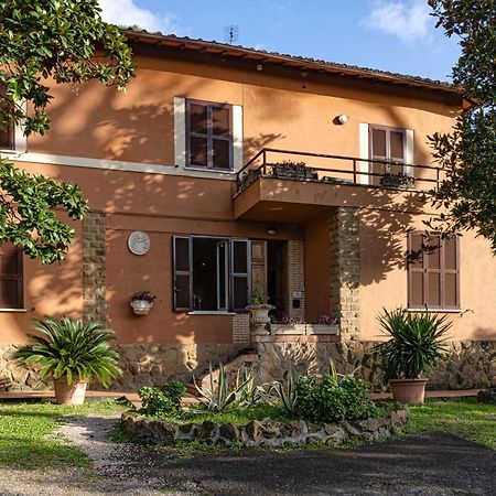 Comfort Rooms Villa Gaia Tor Vergata 로마 외부 사진